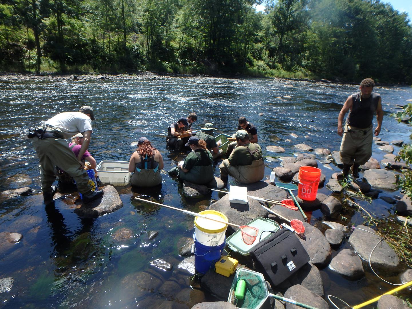 Coldwater Researchers