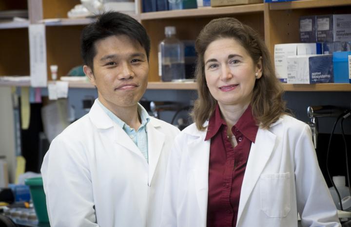 SeongHo Jo and Anath Shalev, University of Alabama - Birmingham