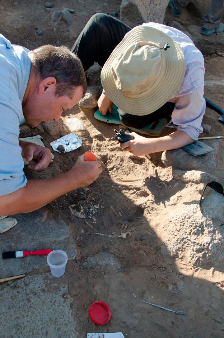Shubayqa 1 Excavation