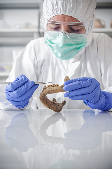 Microbial DNA is extracted from ancient dental calculus