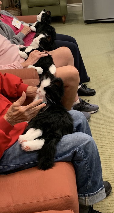 Interactive Robotic Pet Cats in an Adult Day Center