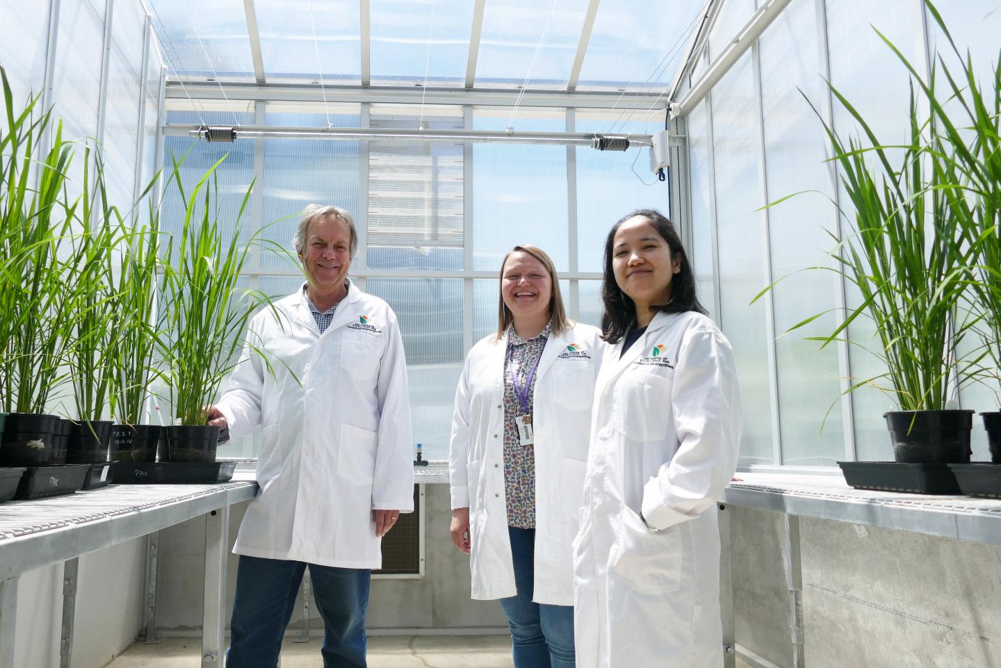 The research team at work at The Australian National University (ANU)