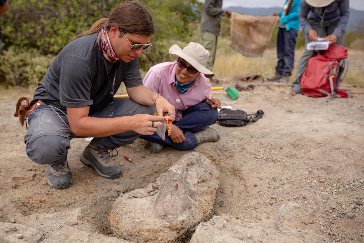 New Fossil Sheds Light on Evolution of Crab Family Tree (6 of 9)