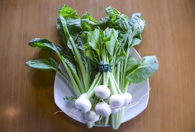Japanese Mustard Spinach and Radishes