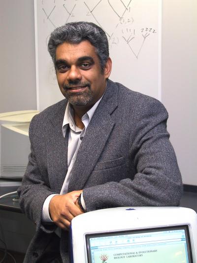 Allen Rodrigo, National Evolutionary Synthesis Center