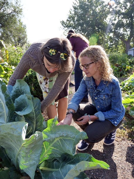 Health benefits of community gardening