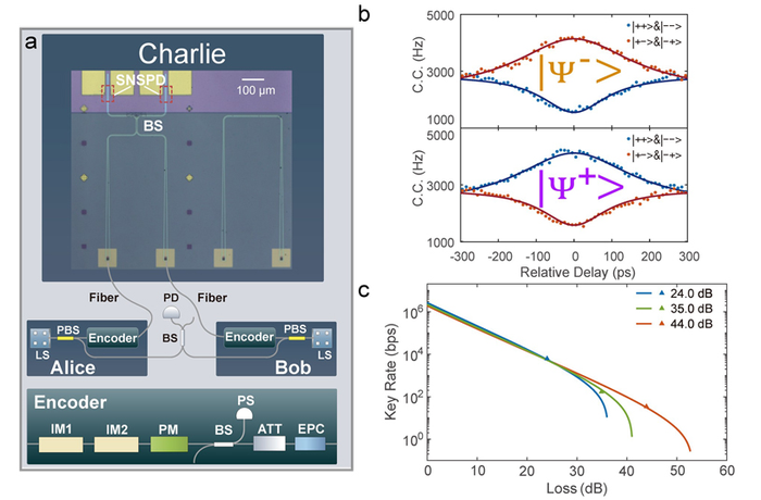 Schematics from the experiment.