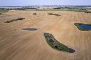 Small water bodies and wind turbines in the agricultural landscape