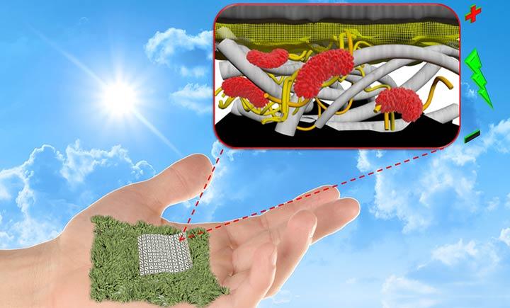 Biodegradable, Paper-Based Battery