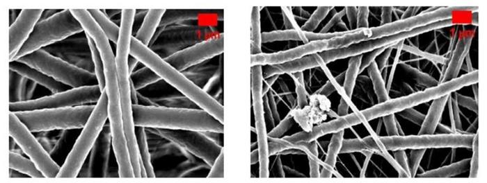 Researchers develop magnesium chloride-enriched nanofiber patches for wound care