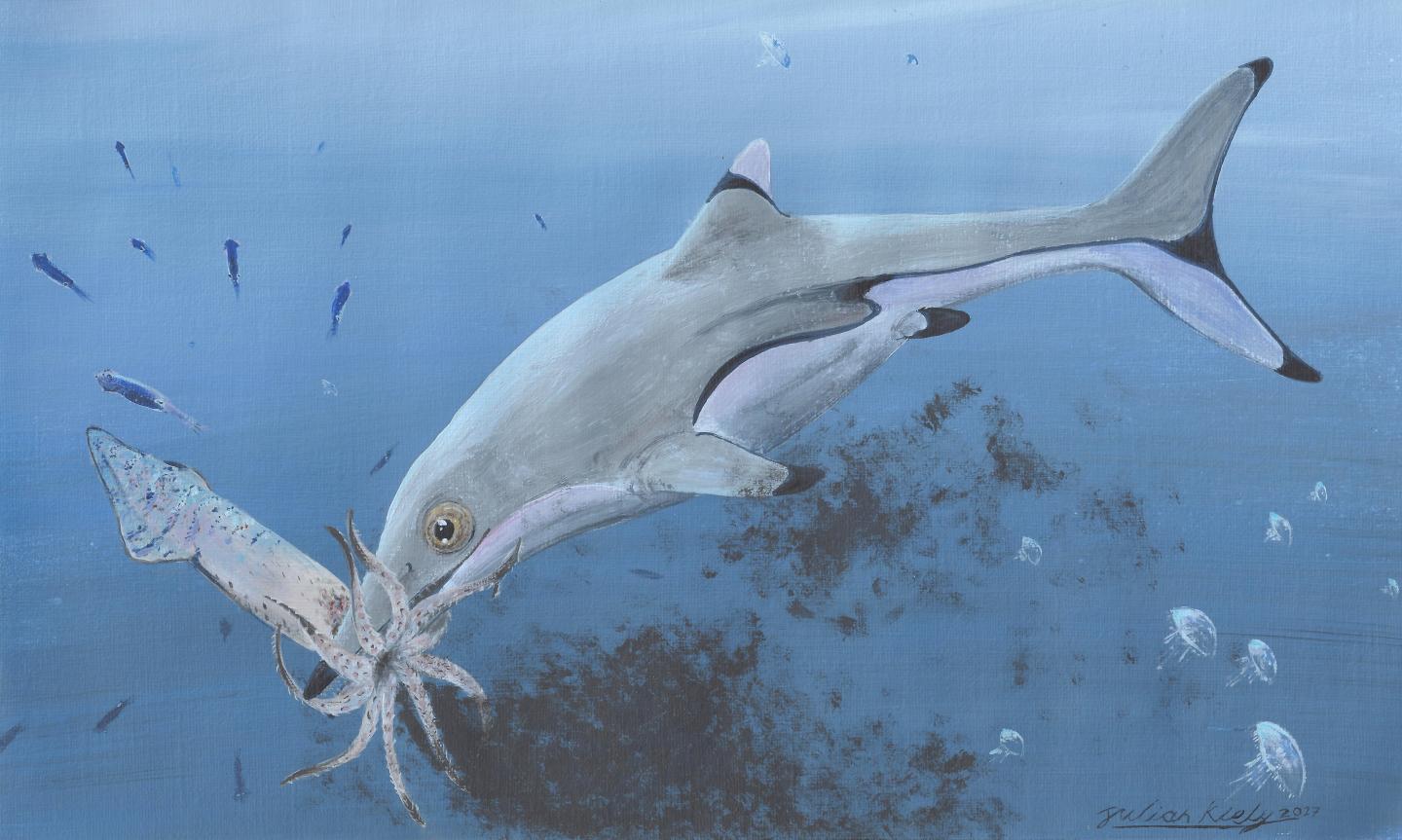 Newborn Ichthyosaur Reconstruction