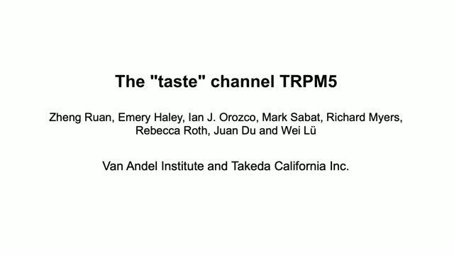 The "taste" channel TRPM5