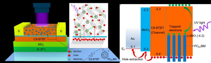 the Structure of Hybrid-Layered Phototransistor