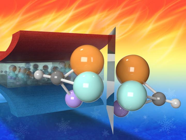 Relaxor ferroelectric polymer