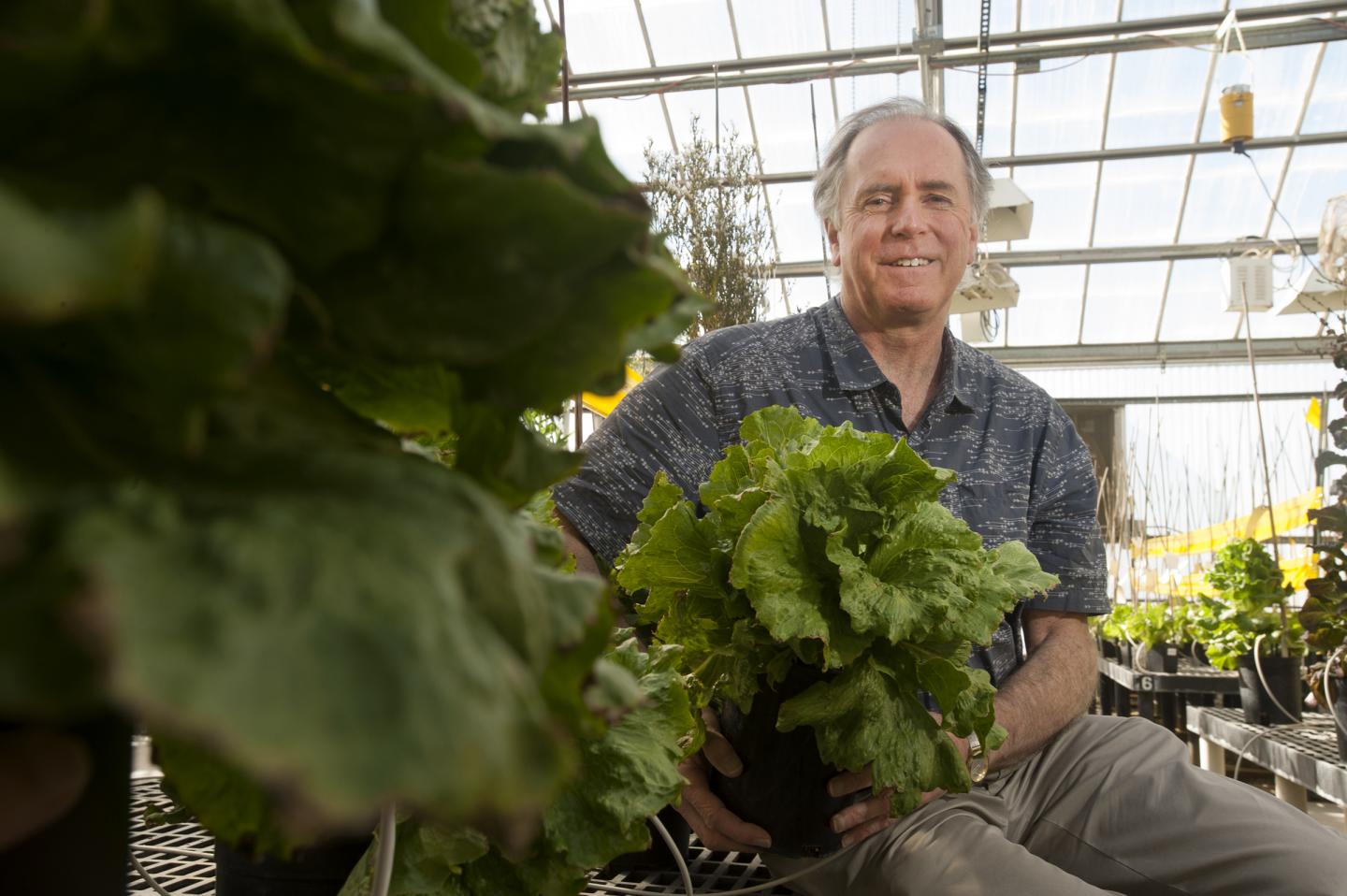 Richard Michelmore, UC Davis Genome Center