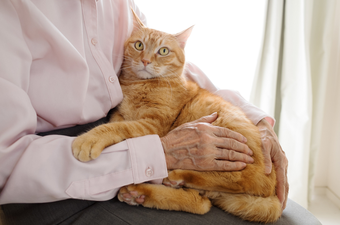 Pets in aged care