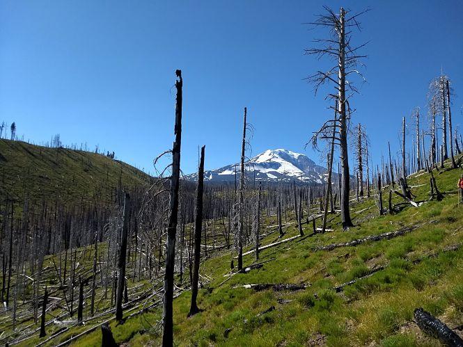 Wildfires on Mount Adams, Washington
