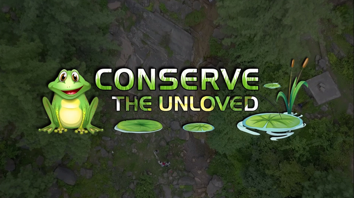 Conserve the Unloved (trailer)