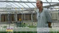Dr. Kevin Crosby, Texas A&M AgriLife (2 of 2)