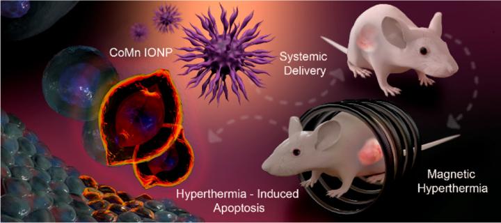 Magnetic Nanoclusters