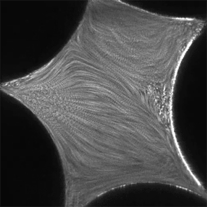 Porous Artificial Rock Helps Channel an Answer to a 54-Year-Old Mystery