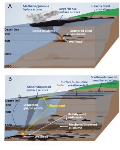 Model of Deepwater Blowout