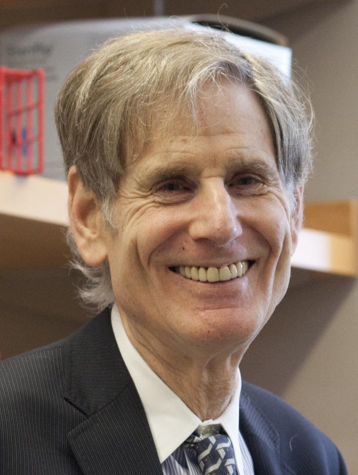 Ralph R. Weichselbaum, Ludwig Cancer Research