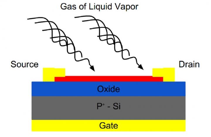 Molybdenum Disulfide Sensor Schematic