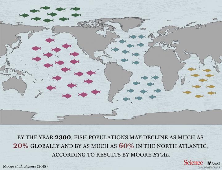 Fishery Yields Will Be Dramatically Reduced by 2300, Study Suggests (1 of 1)
