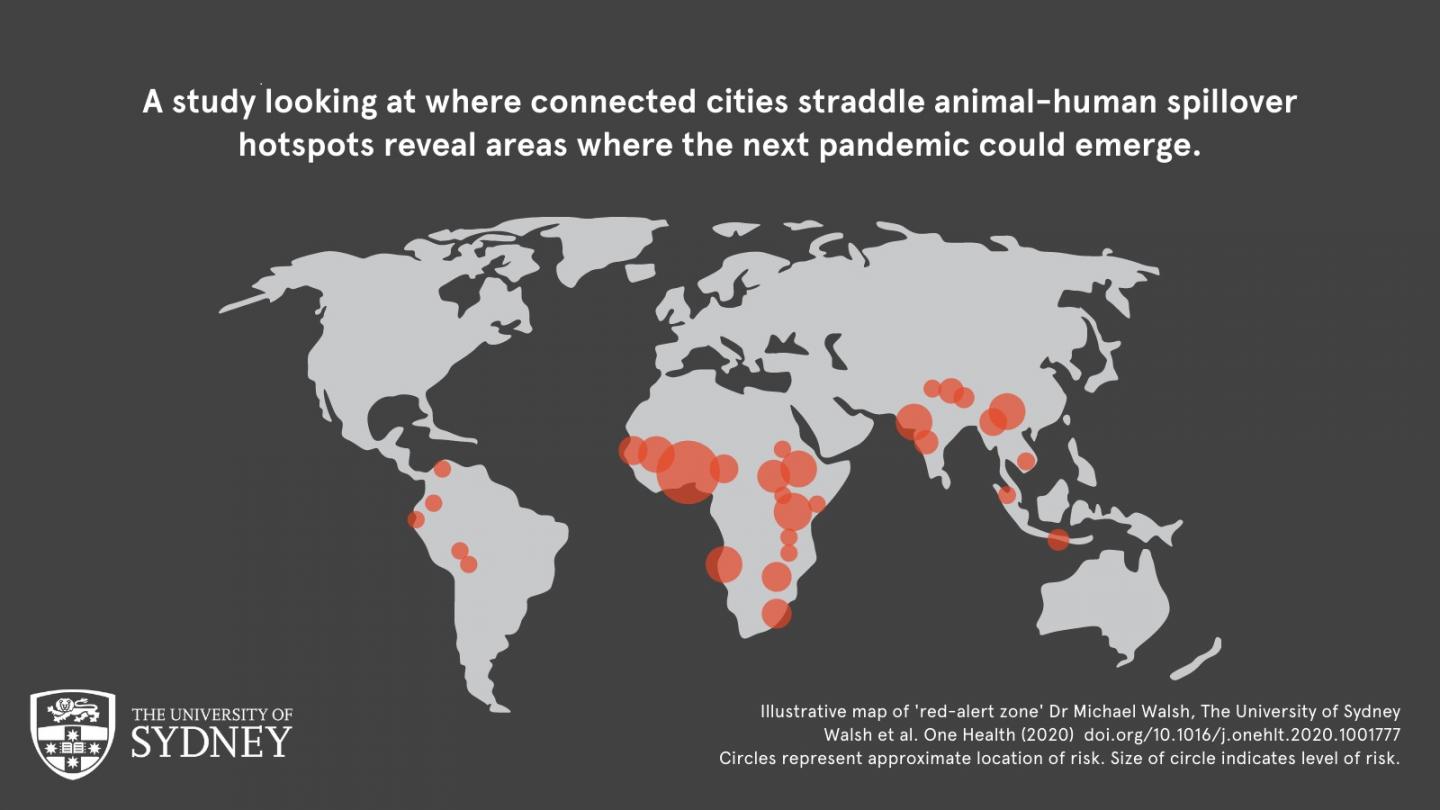 Pandemic red-alert zones - infographic