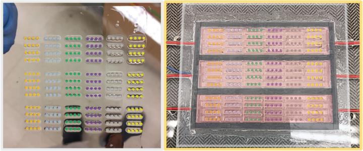 Hydrogel Microarray and High-Throughput Screening Platform for Cartilage Engineering