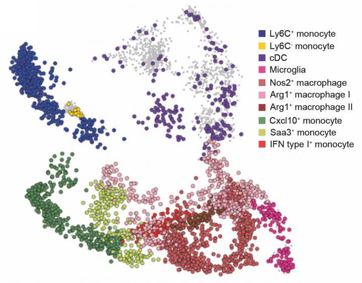 Single Cell Analysis