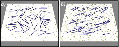 Two Snapshots of Rodlike Filaments