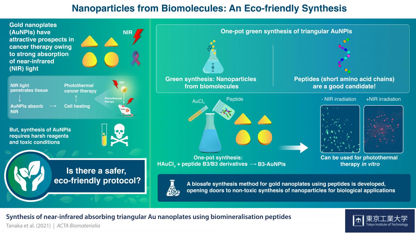 Figure 1 Nanoparticles from Biomolecules: An Eco-Friendly Synthesis