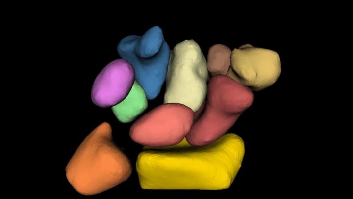 MRI and Computer Modeling Reveals How Wrist Bones Move