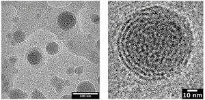 Cryo-electron microscopy images