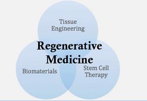 Developing hydrogel scaffolds with tunable elastic modulus for tissue engineering