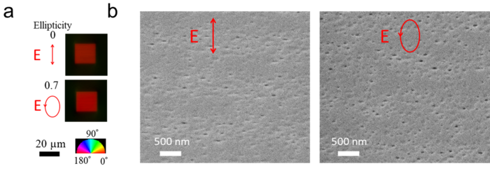 Efficient writing of anisotropic nanopores.