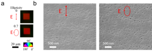 Efficient writing of anisotropic nanopores.