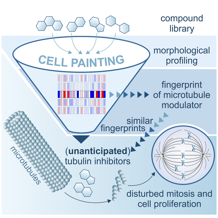 Process of Morphological Profiling