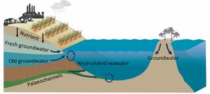 Groundwater sources entering Great Barrier Reef