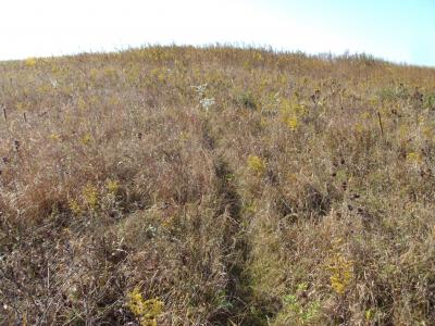 Great Prairie Soil Sampling Site