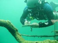 Underwater Survey at Cara Blanca