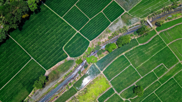 Accurate data on the location and size of agricultural fields is important for agricultural analysis.