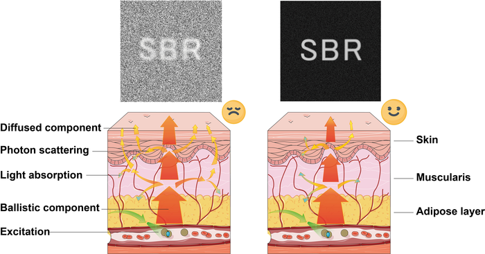 Figure 1 | Schematic diagram of light propagation in tissue