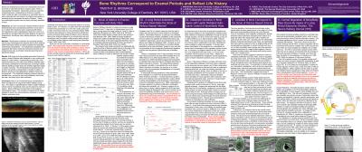 Bromage AADR Poster