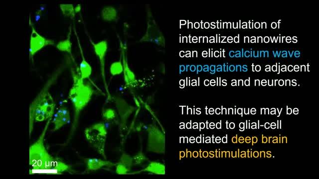 Controlling Biology with Light (2 of 2)