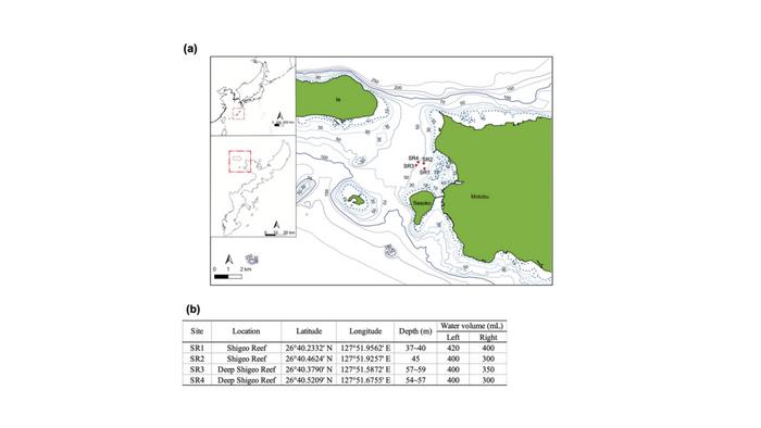 A scleractinian coral eDNA survey at four mesophotic sites using an underwater mini-ROV