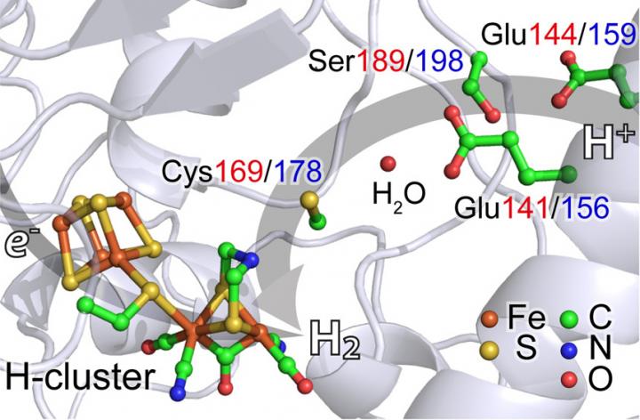 New X-ray Spectroscopy Explores Hydrogen-Generating Catalyst