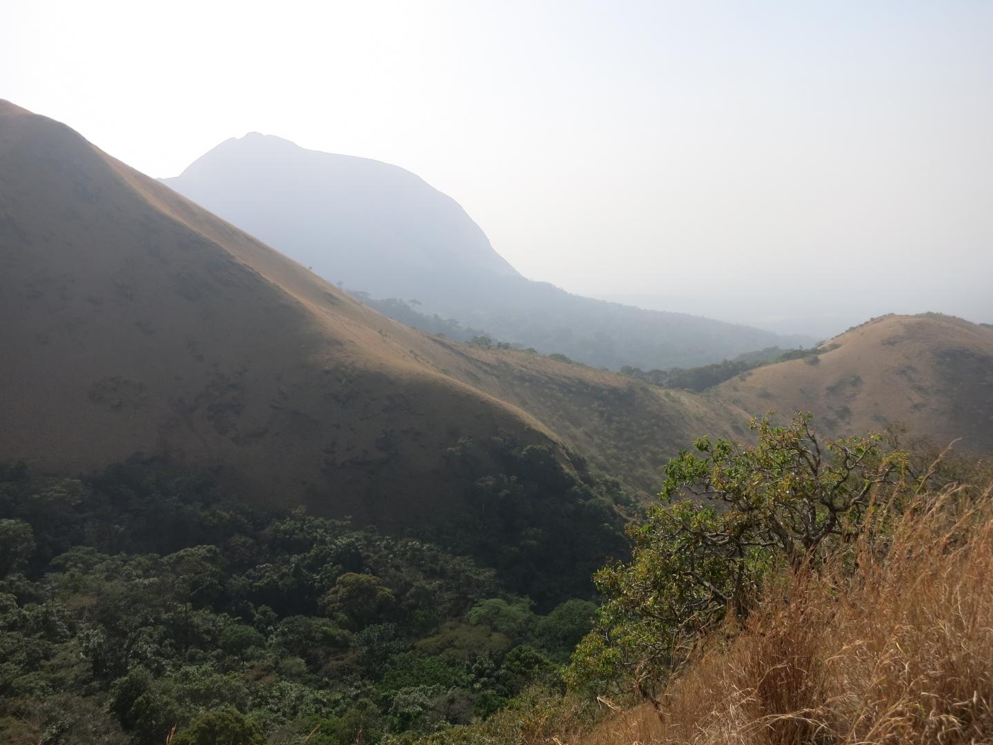 Nimba Mountains
